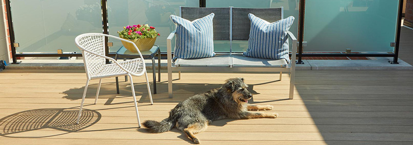 Best composite decking for full sun featuring TimberTech AZEK Vintage Collection Weathered Teak & dog laying comfortably