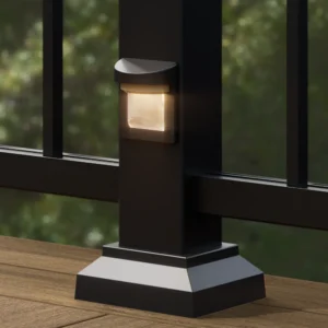 Reversible LED Accent Light